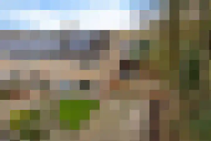 Boskkamp 2 Bakkeveen thumbnail 42
