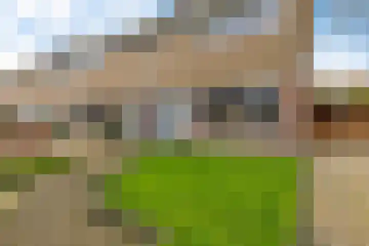 Boskkamp 2 Bakkeveen thumbnail 43