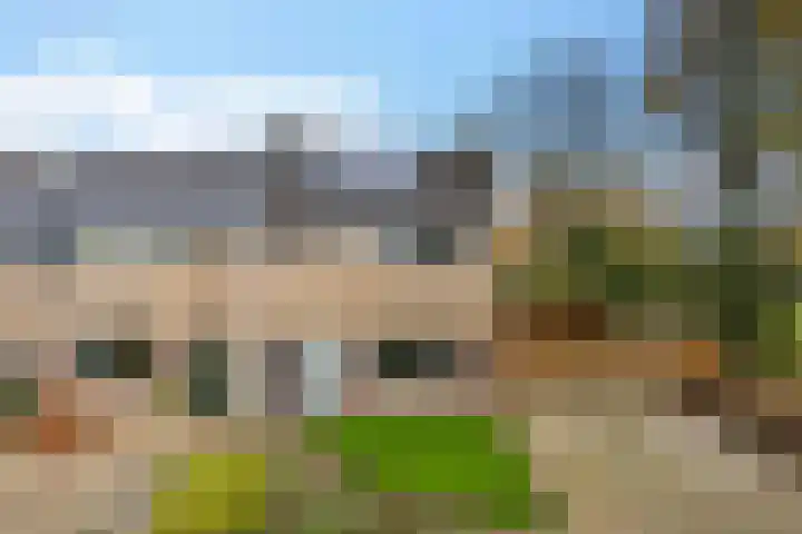 Boskkamp 2 Bakkeveen thumbnail 45