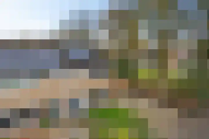 Boskkamp 2 Bakkeveen thumbnail 47