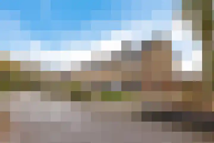 Boskkamp 2 Bakkeveen thumbnail 48