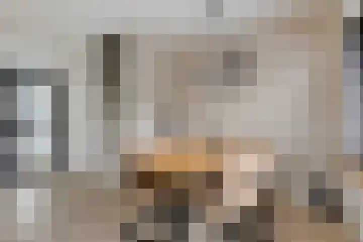 Boskkamp 2 Bakkeveen thumbnail 7