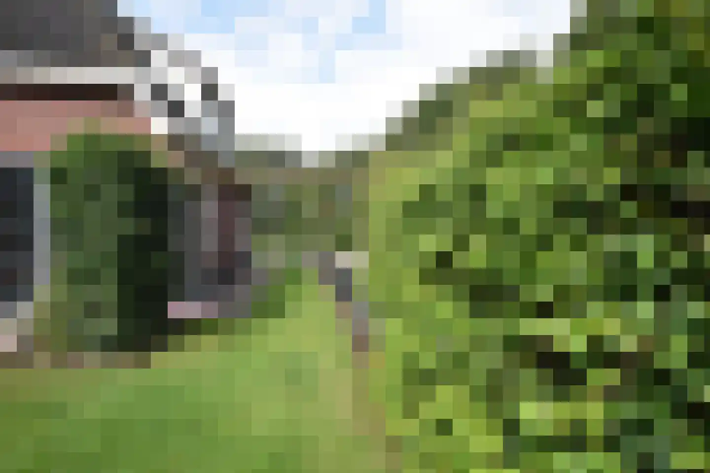 Boskkamp 21 Eastermar thumbnail 15