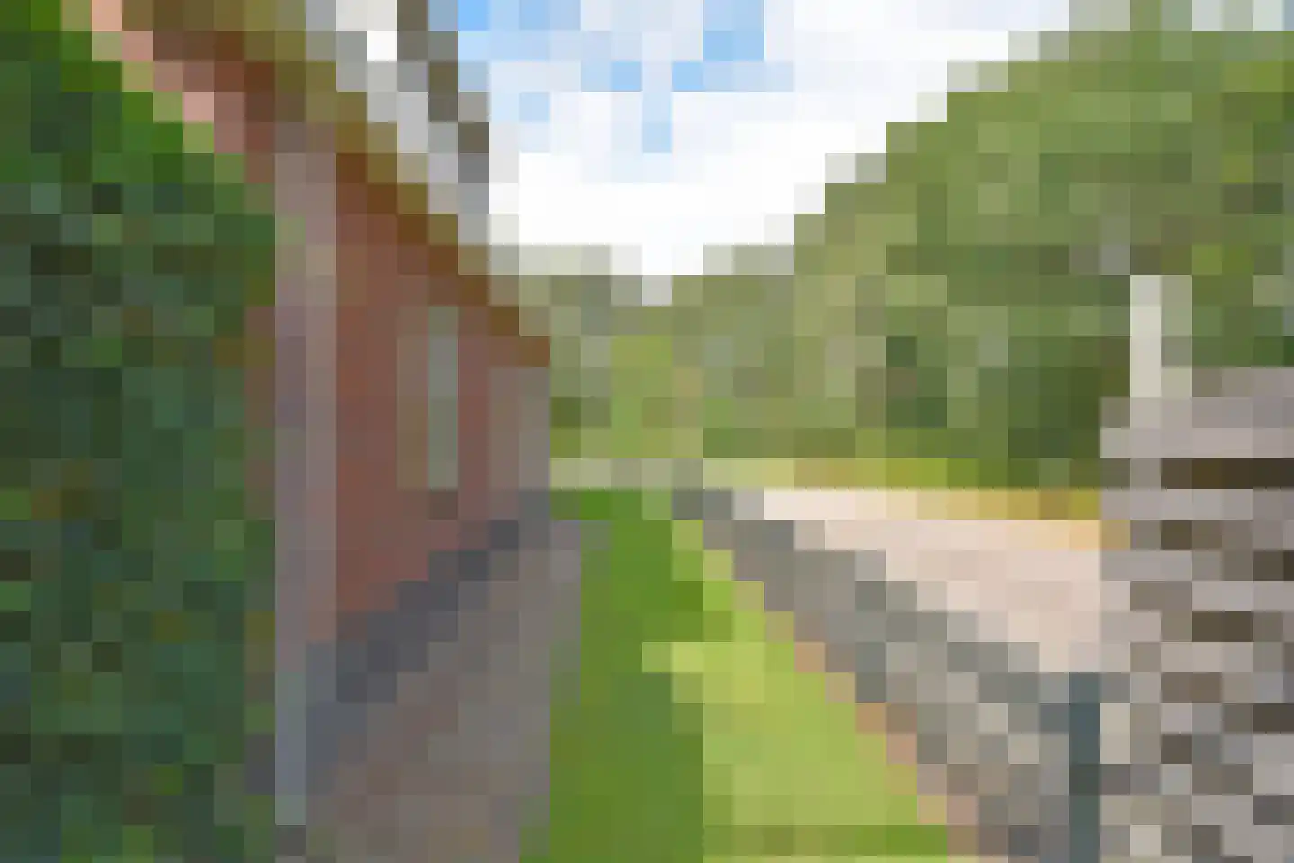 Boskkamp 21 Eastermar thumbnail 16