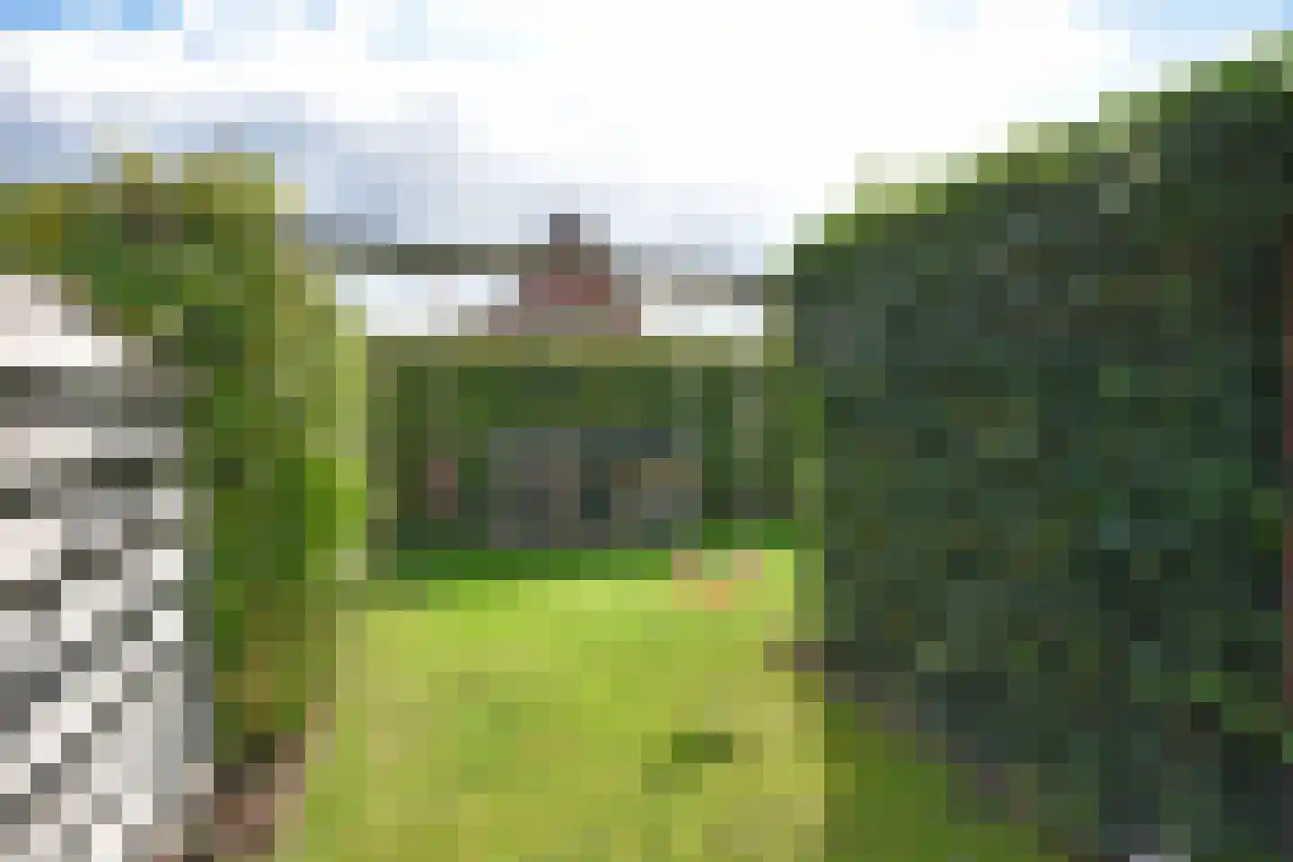Boskkamp 21 Eastermar thumbnail 17