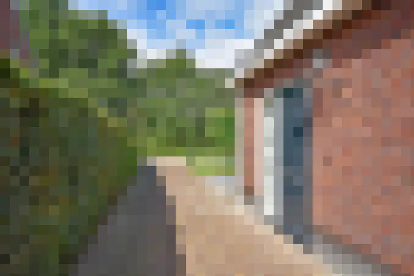 Boskkamp 21 Eastermar thumbnail 8