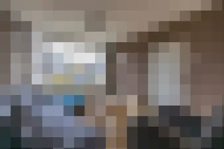 Boskkamp 30 Augustinusga thumbnail 13