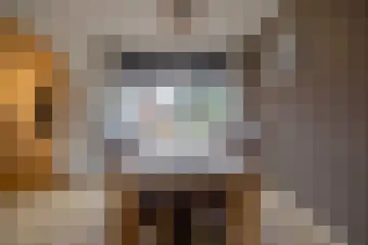 Boskkamp 30 Augustinusga thumbnail 14