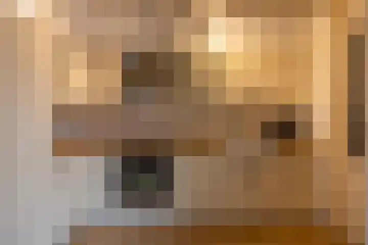 Boskkamp 30 Augustinusga thumbnail 15