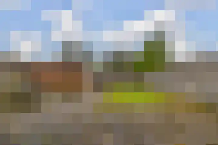 Boskkamp 30 Augustinusga thumbnail 30