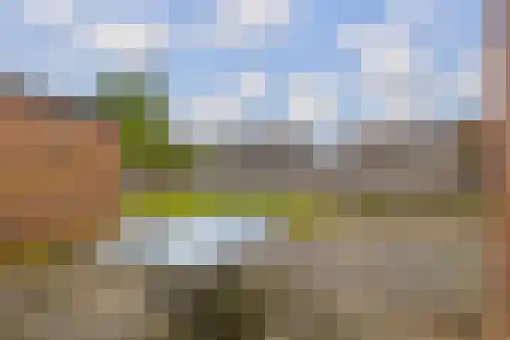 Boskkamp 30 Augustinusga thumbnail 32