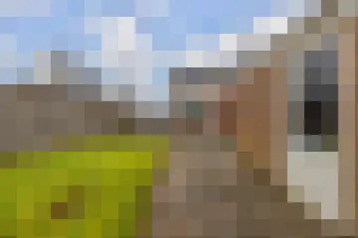 Boskkamp 30 Augustinusga thumbnail 33