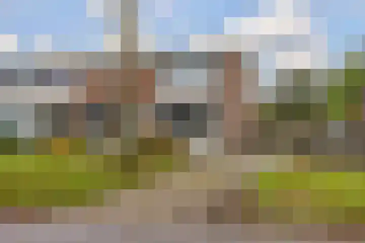 Boskkamp 30 Augustinusga thumbnail 4