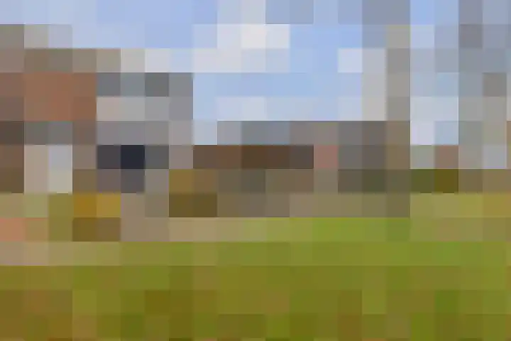 Boskkamp 30 Augustinusga thumbnail 6