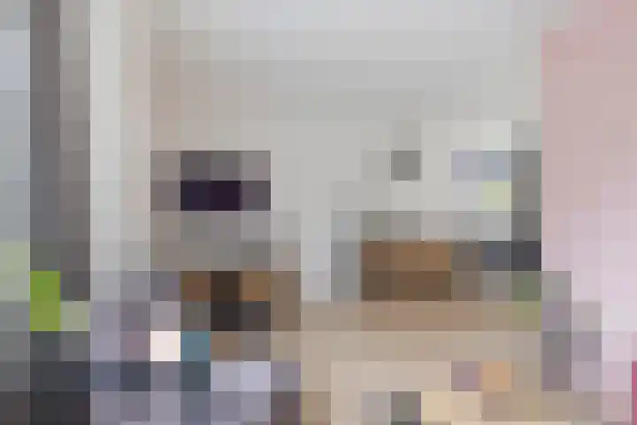 Boskkamp 45 Bakkeveen thumbnail 10