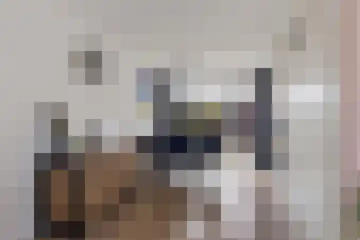 Boskkamp 45 Bakkeveen thumbnail 11