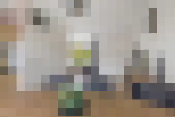 Boskkamp 45 Bakkeveen thumbnail 12