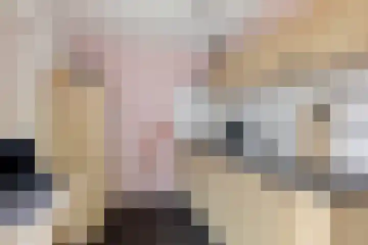Boskkamp 45 Bakkeveen thumbnail 13