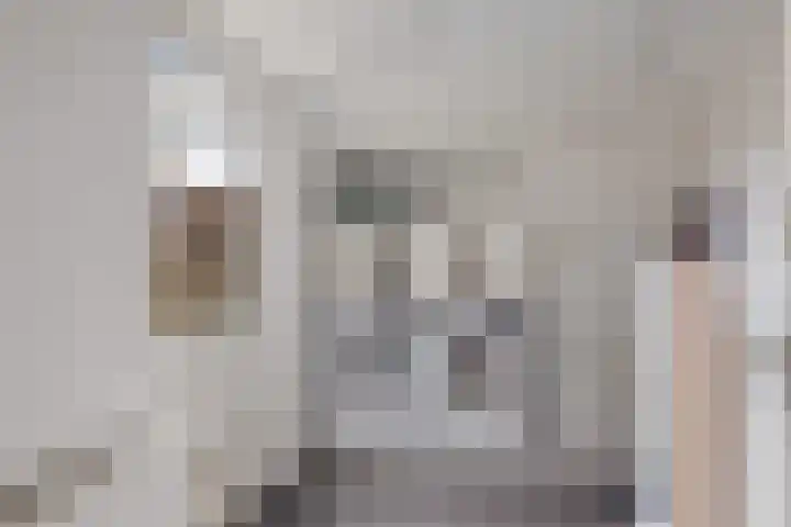 Boskkamp 45 Bakkeveen thumbnail 15