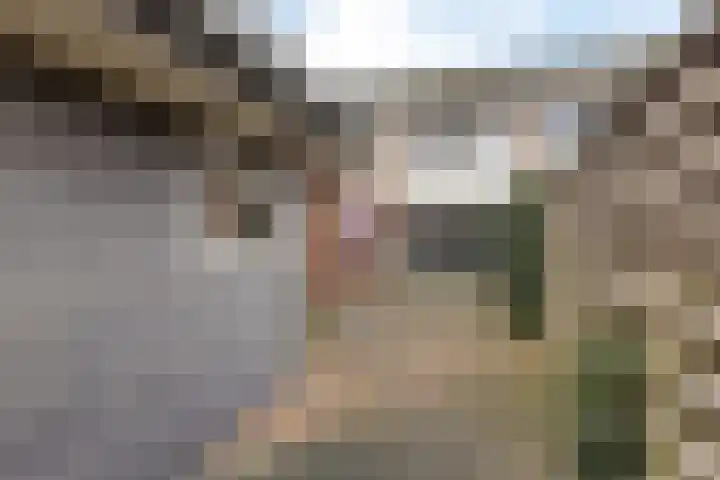 Boskkamp 45 Bakkeveen thumbnail 29