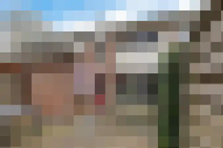 Boskkamp 45 Bakkeveen thumbnail 30