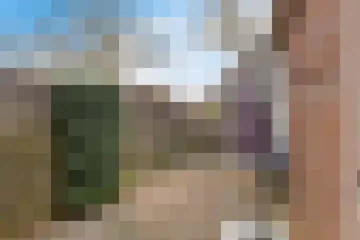 Boskkamp 45 Bakkeveen thumbnail 31