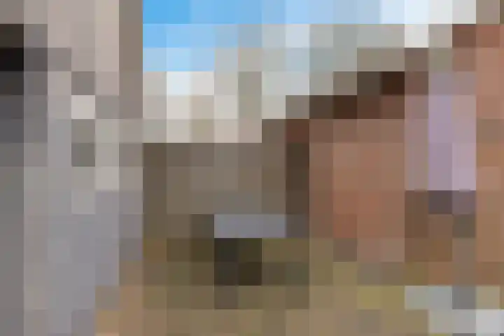 Boskkamp 45 Bakkeveen thumbnail 32