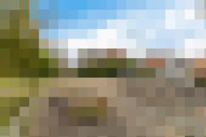 Boskkamp 45 Bakkeveen thumbnail 33