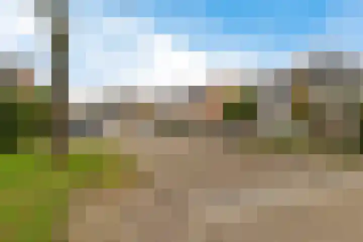 Boskkamp 45 Bakkeveen thumbnail 34