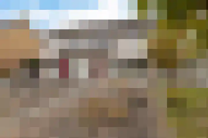 Boskkamp 45 Bakkeveen thumbnail 35
