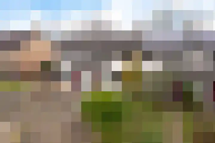 Boskkamp 45 Bakkeveen thumbnail 36