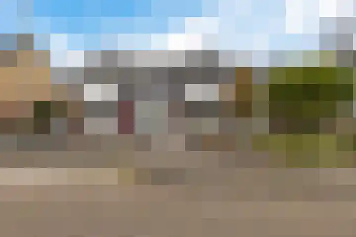 Boskkamp 45 Bakkeveen thumbnail 37