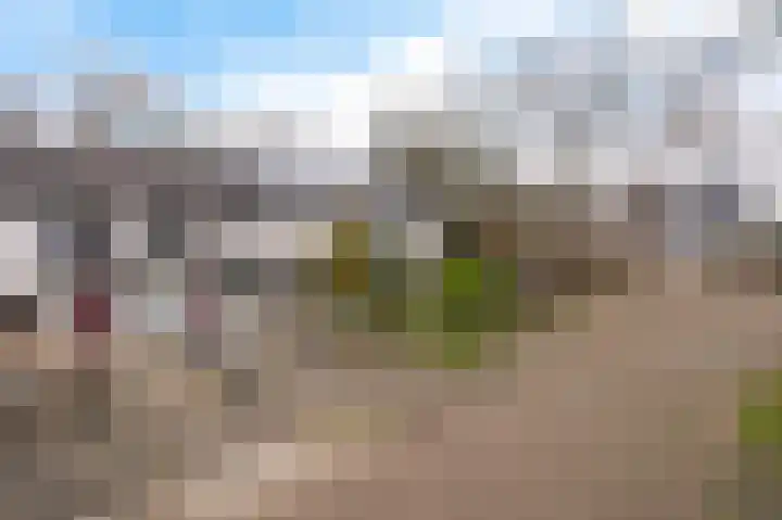 Boskkamp 45 Bakkeveen thumbnail 39