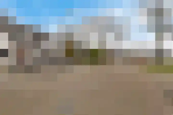 Boskkamp 45 Bakkeveen thumbnail 40