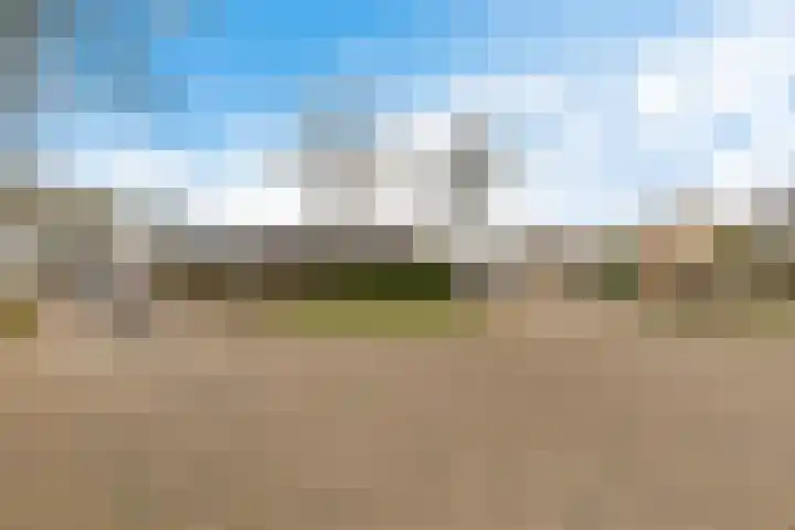 Boskkamp 45 Bakkeveen thumbnail 41