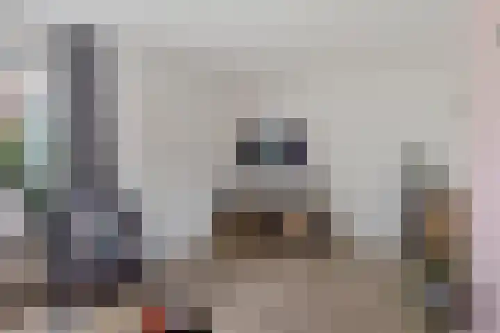 Boskkamp 45 Bakkeveen thumbnail 8