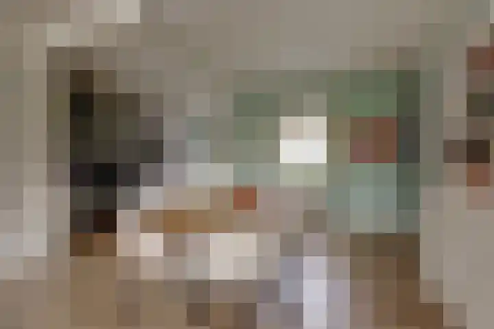 Boskkamp 48 Augustinusga thumbnail 11
