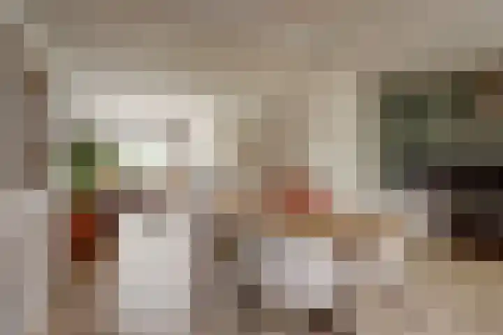 Boskkamp 48 Augustinusga thumbnail 4