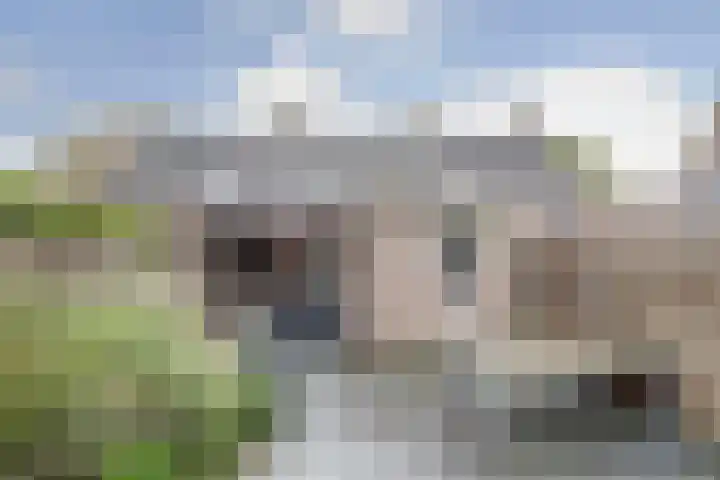 Boskkamp 48 Augustinusga thumbnail 5