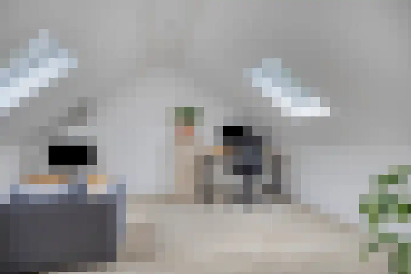 Boskkamp 6 Bakkeveen thumbnail 34