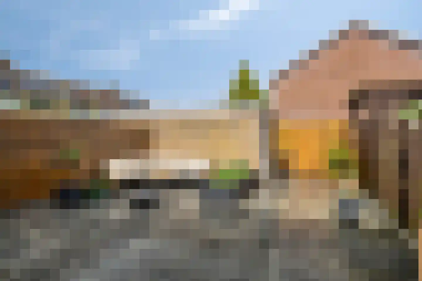 Boskkamp 6 Bakkeveen thumbnail 38