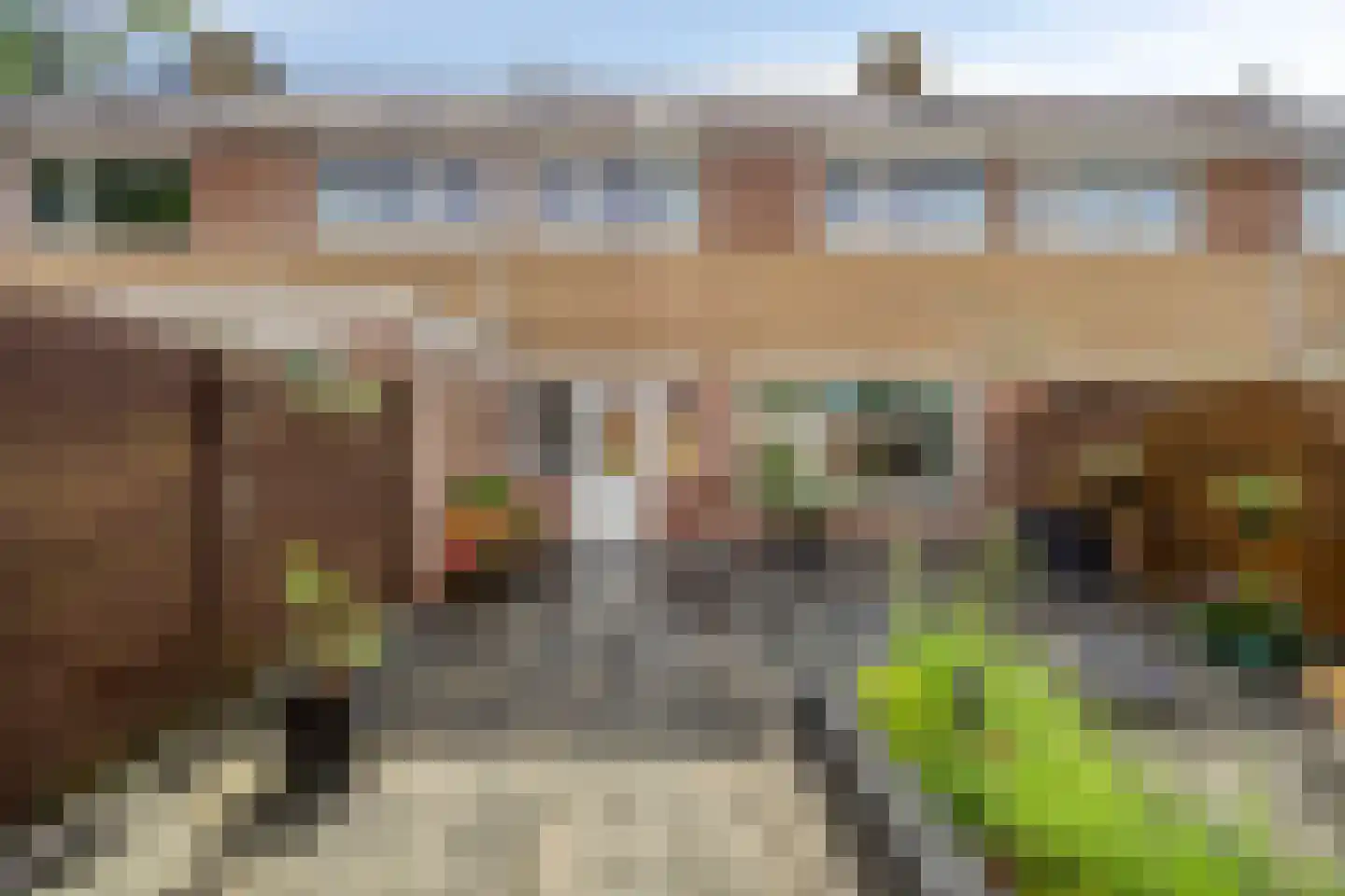 Boskkamp 6 Bakkeveen thumbnail 43