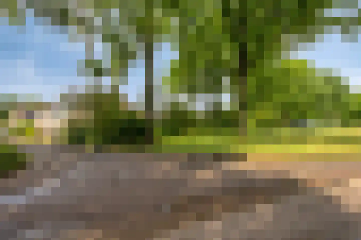 Boskkamp 6 Bakkeveen thumbnail 45