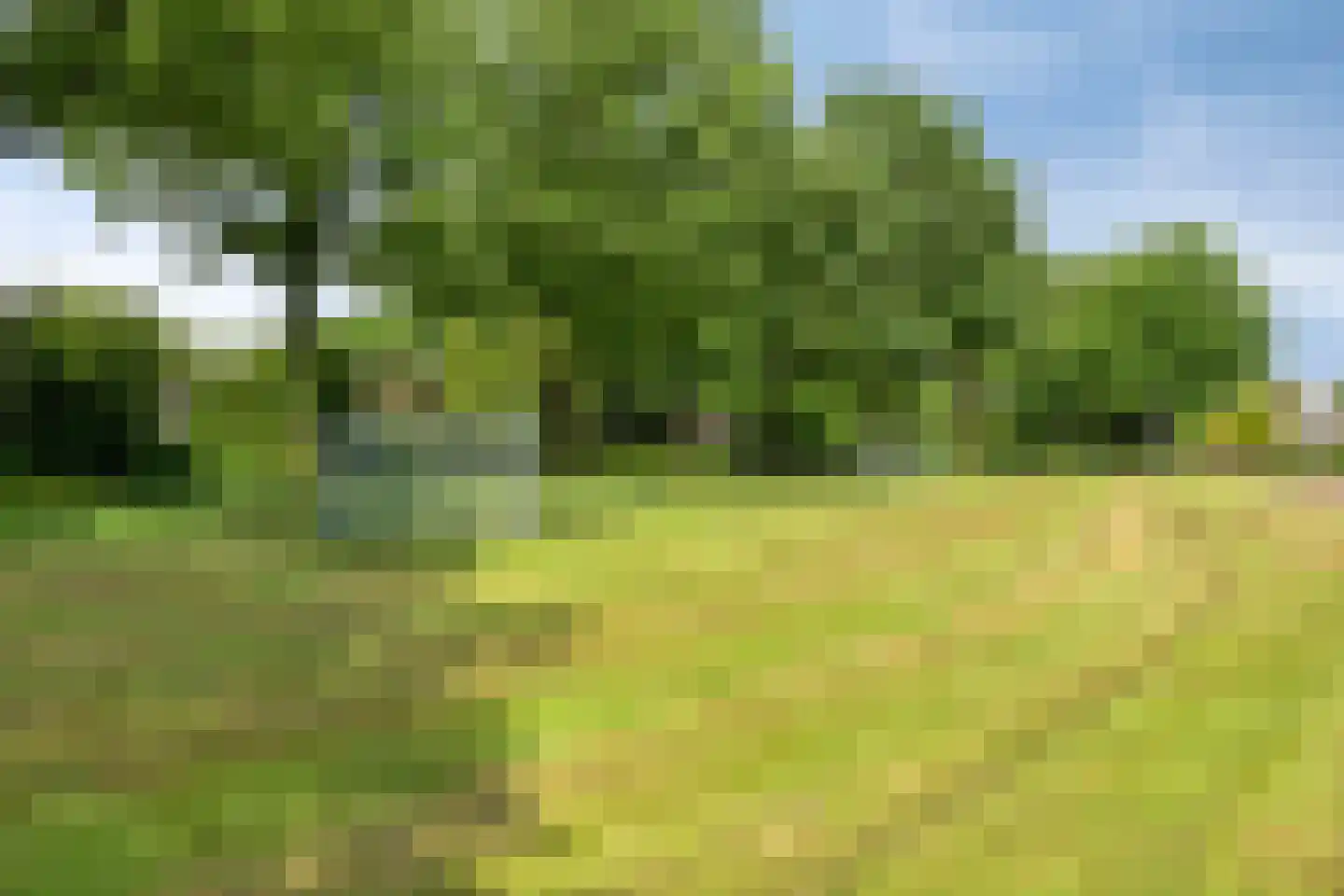 Boskkamp 6 Bakkeveen thumbnail 46