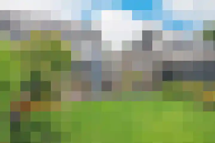 Boskkamp 9 Eastermar thumbnail 14