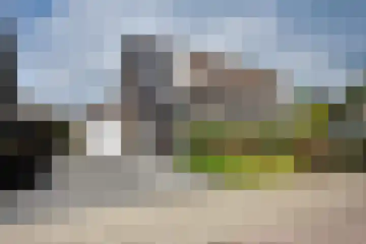 Boskkamp 9 Eastermar thumbnail 5