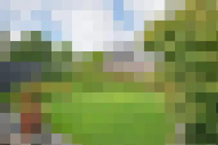 Boskkamp 9 Eastermar thumbnail 8