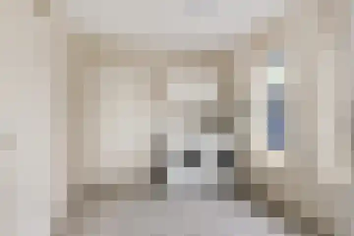 Boskleane 12 Bakkeveen thumbnail 15