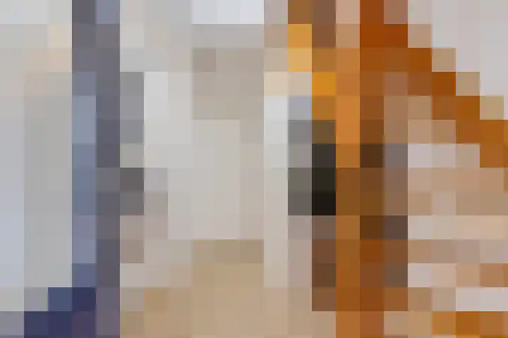 Boskleane 12 Bakkeveen thumbnail 19