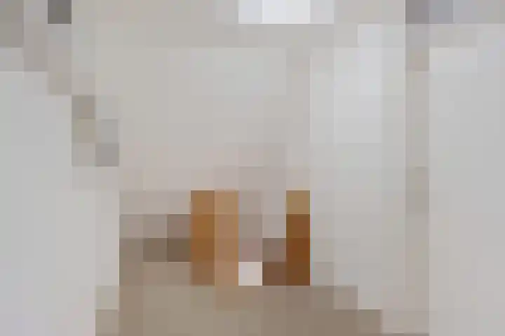 Boskleane 12 Bakkeveen thumbnail 20